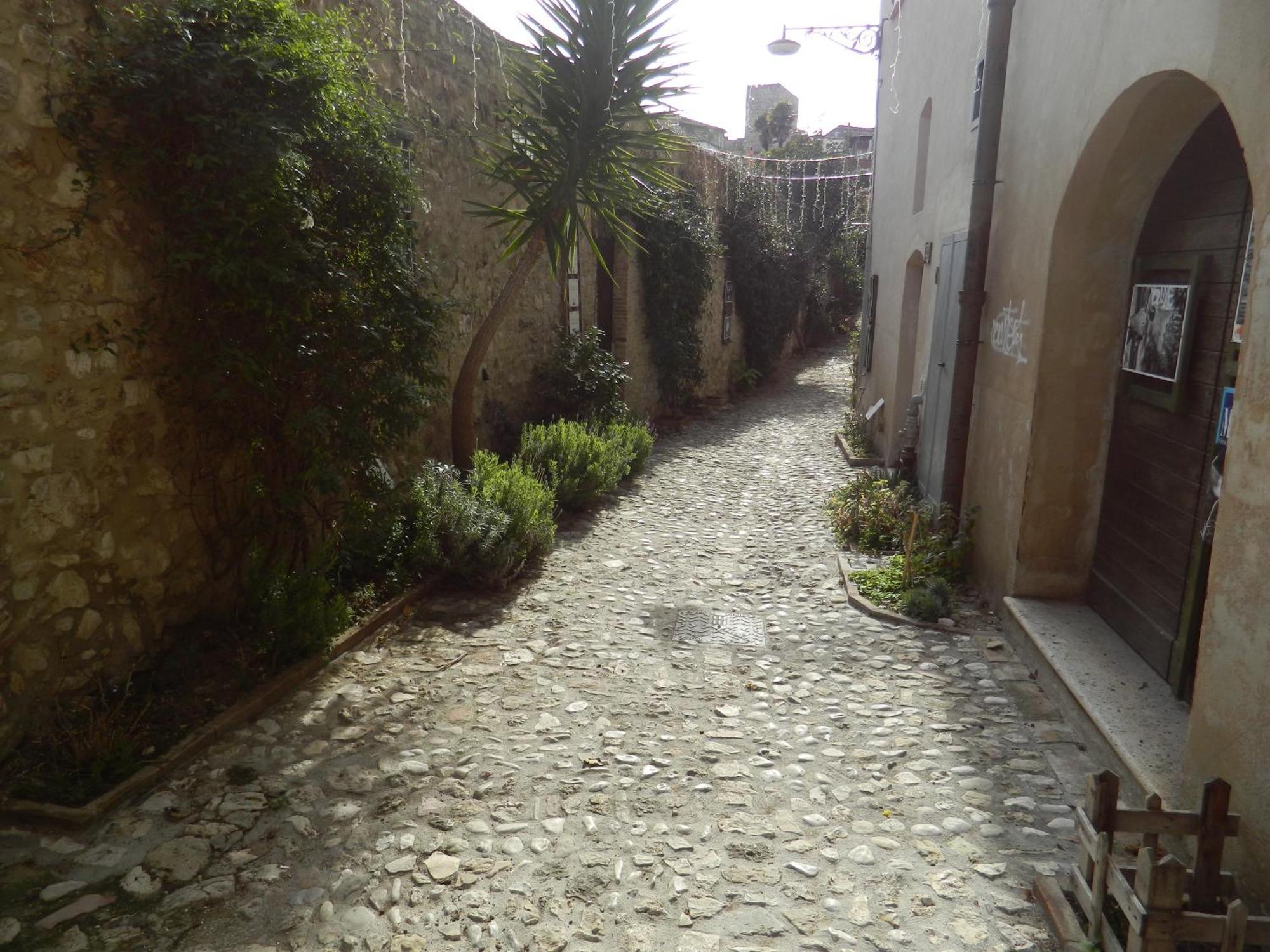 ナルニCasa Dell'Oliveto "Parcheggio Gratuito"アパートメント エクステリア 写真